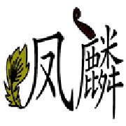 图片及答案第142-147关答案是什么